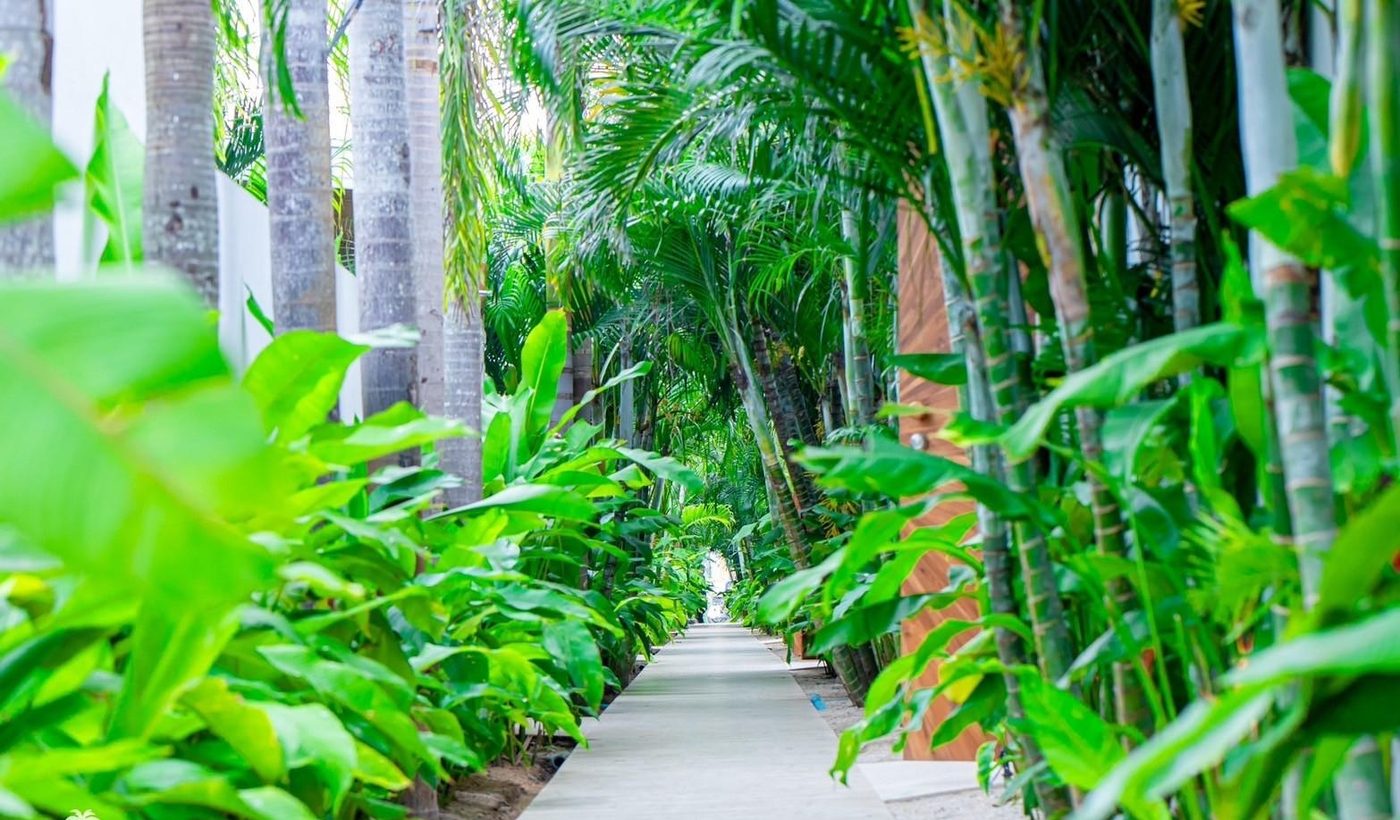 Tropical Garden